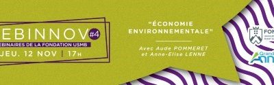Webinnov Environmental Economics